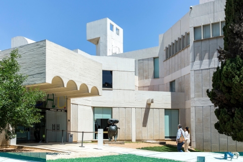 Barcelona: voorrangsticket voor de Fundació Joan Miró