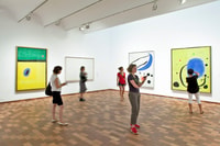Barcelona, Fundació Joan Miró Skip-the-Line Entry Ticket - Housity