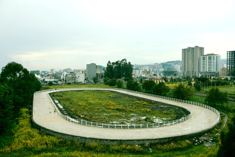 Addis Abeba: jazda konna, stajnie i kawa