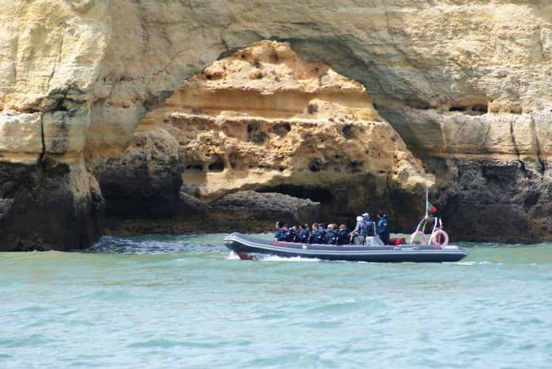 From Albufeira 25 Hour Dolphin And Sea Caves Boat Tour Getyourguide 2846