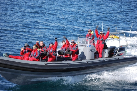 Akureyri : 2 heures d'observation des baleines en hors-bord RIB
