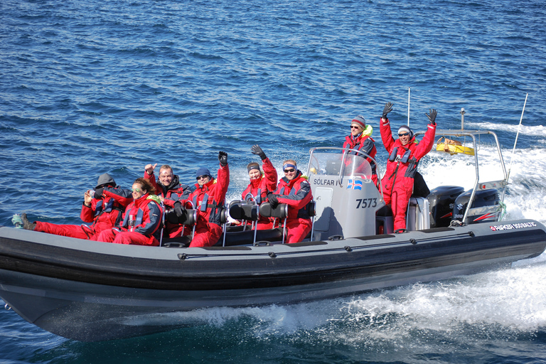 Akureyri : 2 heures d'observation des baleines en hors-bord RIB