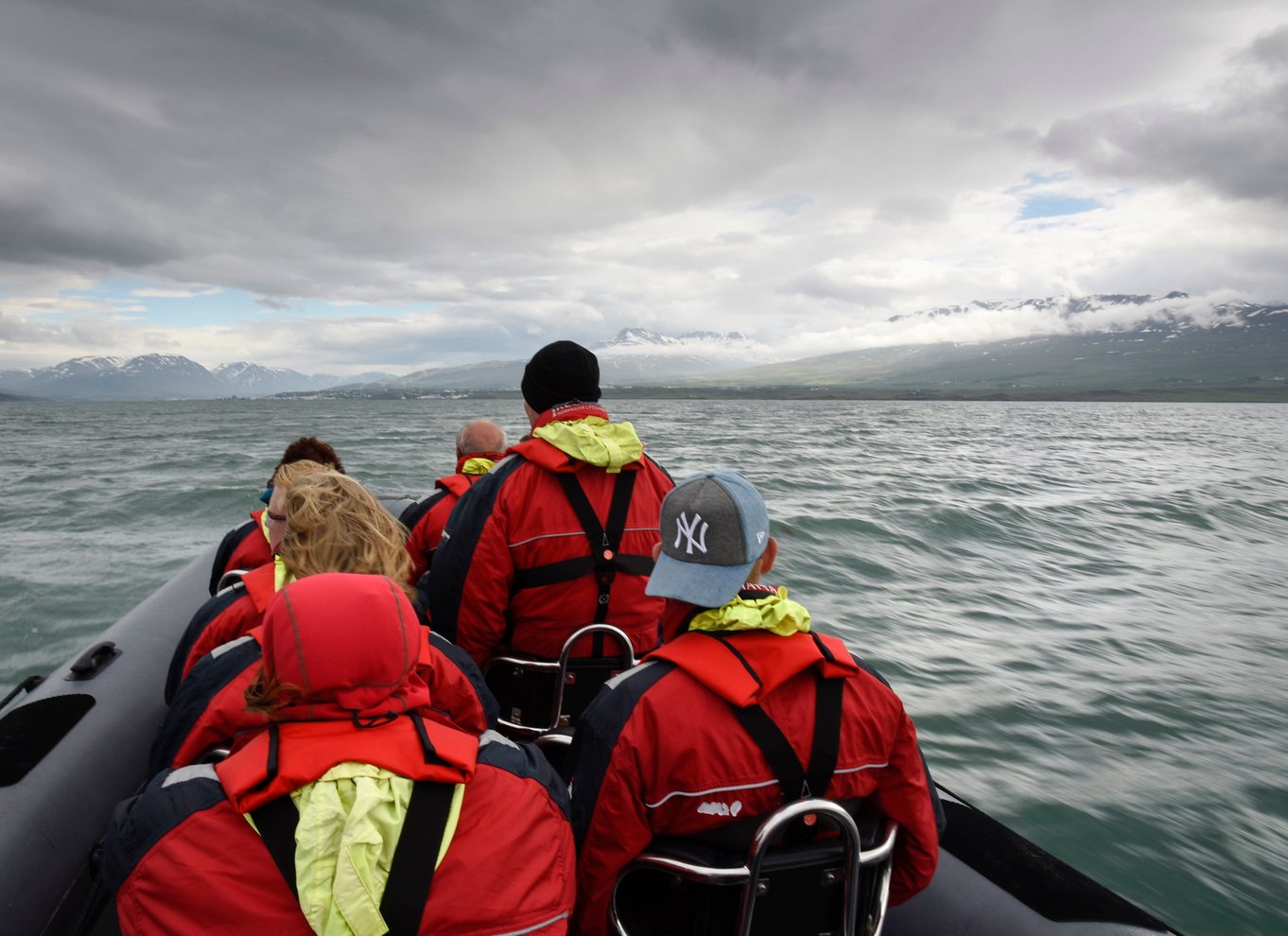 Akureyri: 2-timers hvalsafari med RIB-speedbåd