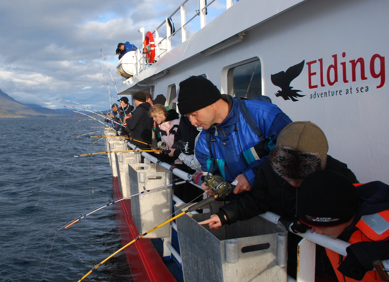 Reykjavik: 3-timers havfiskeri-gourmet-oplevelsestur