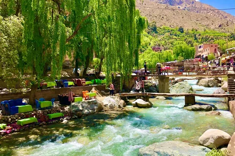 Marrakech: Ourika Valley with guided lunch