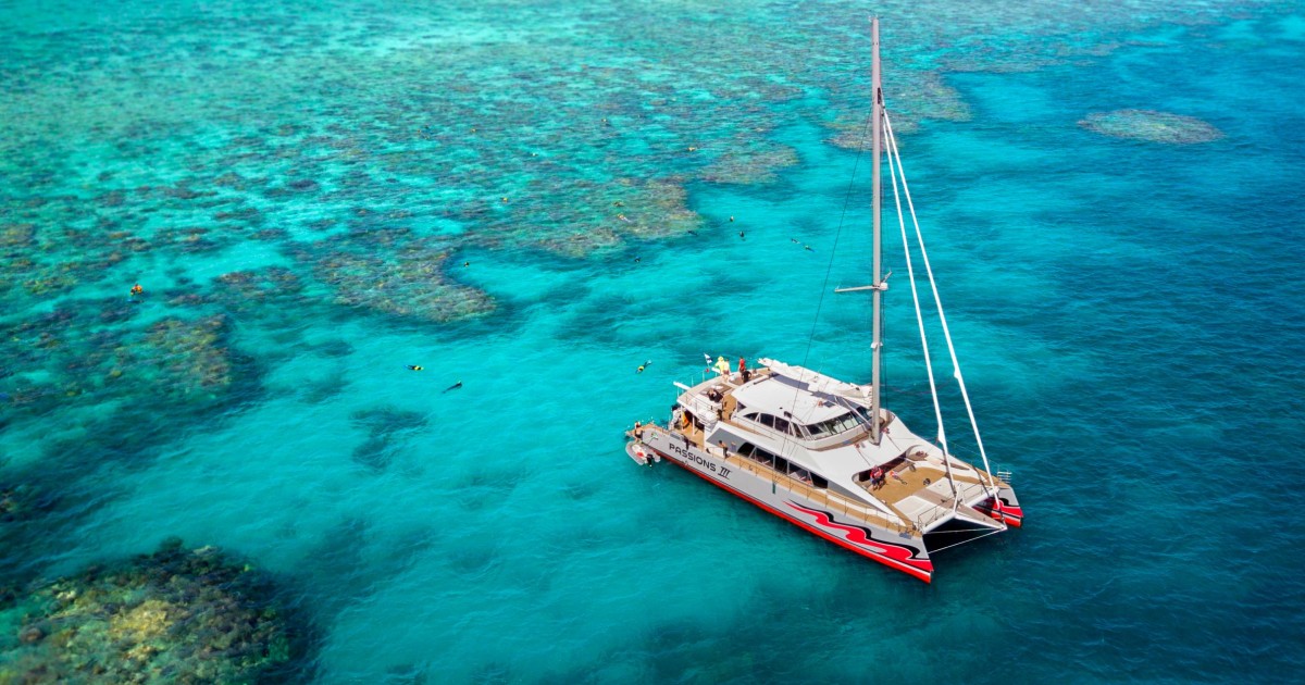 Fra Cairns Cruise til Great Barrier Reef med katamaran GetYourGuide
