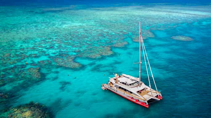 great barrier reef premium catamaran cruise from cairns