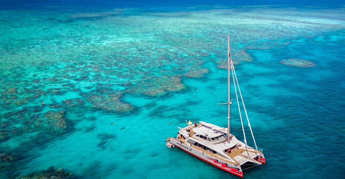 From Cairns: Great Barrier Reef Cruise by Premium Catamaran