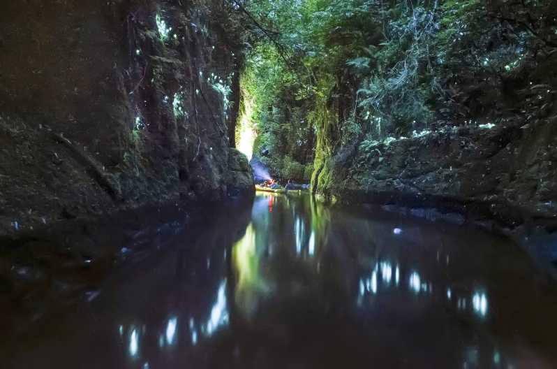 Tauranga: Evening Glow Worm Kayak Tour