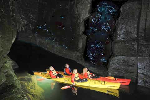 Tauranga: Evening Glow Worm Kayak Tour