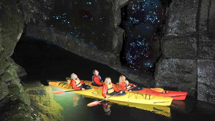 tauranga evening glow worm kayak tour