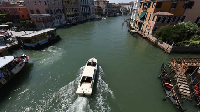 venice harbor shuttle transfer
