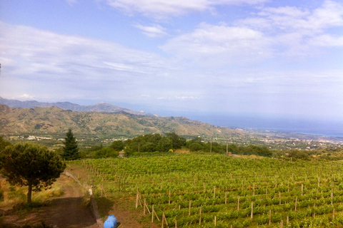 Catania: privétour naar de Etna met proeverij van eten en wijnPrivate Etna Tour met lunch en wijn vanuit Messina / Catania