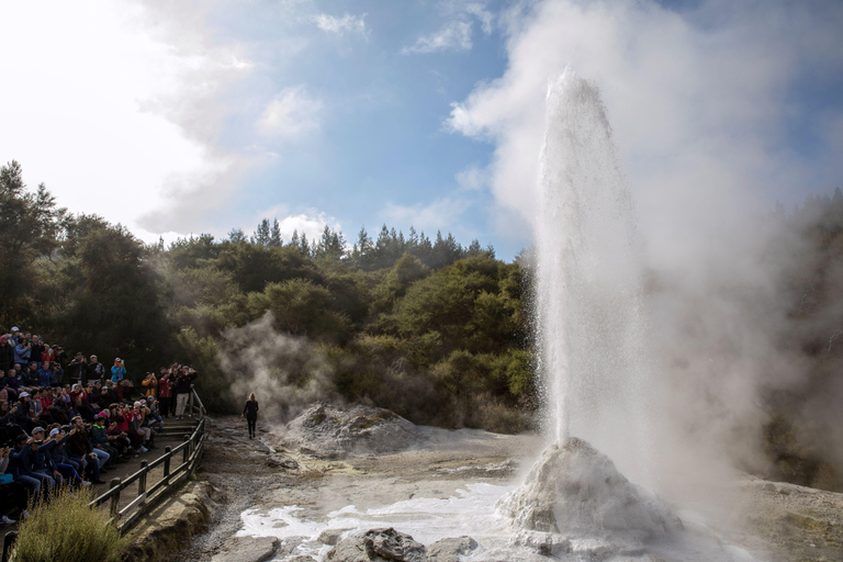 WAI-O-TAPU &amp; HOBBITON - Privat dagstur från AucklandWAI-O-TAPU Rotorua &amp; HOBBITON - Privat dagstur från Auckland