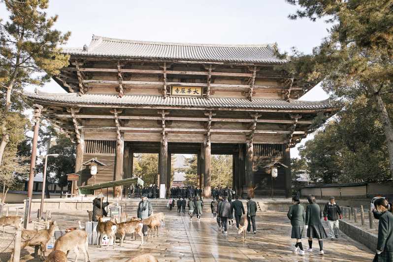 Nara Like a Local: Customized Guided Tour