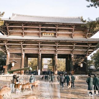 Nara zoals een lokale: aangepaste begeleide tour