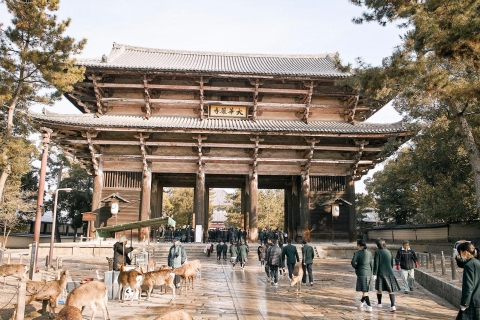 Nara zoals een lokale: aangepaste begeleide tour3-uurs tour