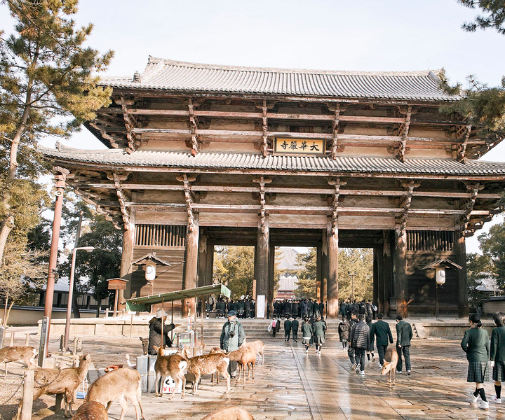 Nara Like a Local: Customized Guided Tour