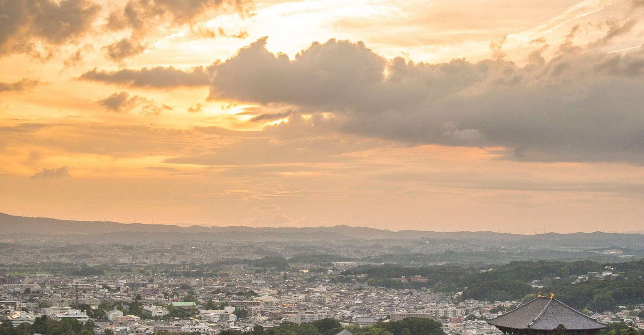 Nara Like a Local, Customized Guided Tour - Hizvo