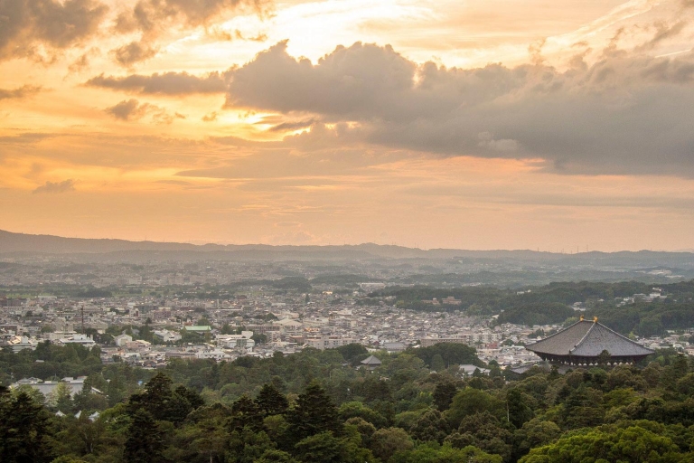 Nara zoals een lokale: aangepaste begeleide tour2-uurs tour