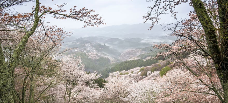 Private tours