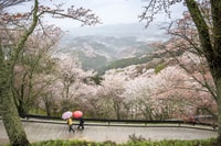 Nara Comme une visite guidée locale, personnalisée - Hizvo