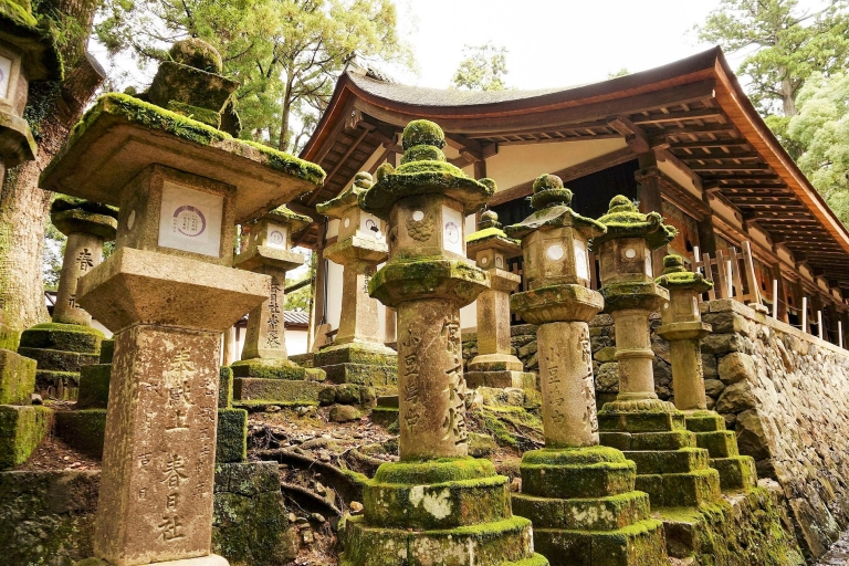 Nara Jak lokalna: Customized Guided Tour3-godzinna wycieczka