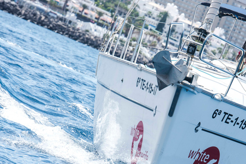 Tenerife: Whale and Dolphin Watching Tour by Sailboat