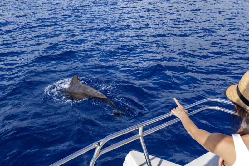 Tenerife: excursão de observação de baleias e golfinhos em veleiro