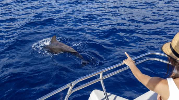 Tenerife: 3 h en barco y avistamiento de ballenas y delfines