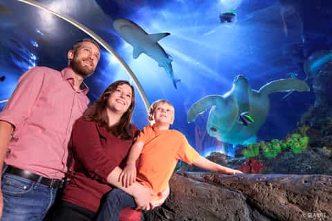 Boleto a SEA LIFE Constanza