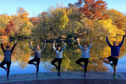 New York City: Central Park Walking and Yoga Tour