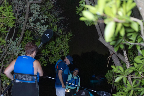Cocoa Beach/Merritt Island:Bioluminescent kayak tour Single Kayak