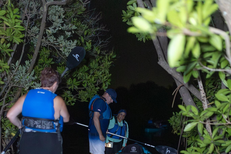 Cocoa Beach/Merritt Island:Bioluminescent kayak tour Single Kayak