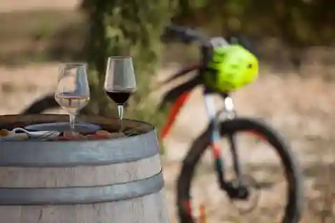 Traverse City: Old Mission Peninsula Bike and Wine Tour