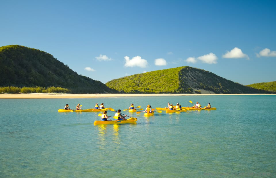 From Noosa: Dolphin Sea Kayaking and Beach 4X4 Tour | GetYourGuide