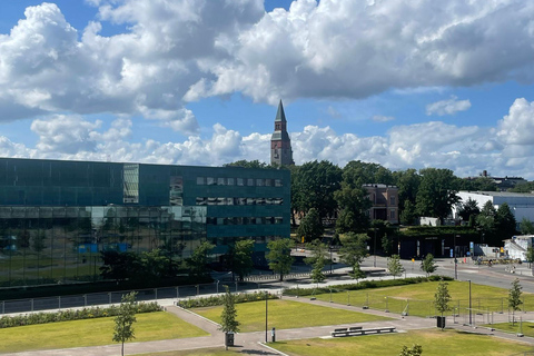 Helsinki: Aeroporto e storia della capitale Tour privato in auto