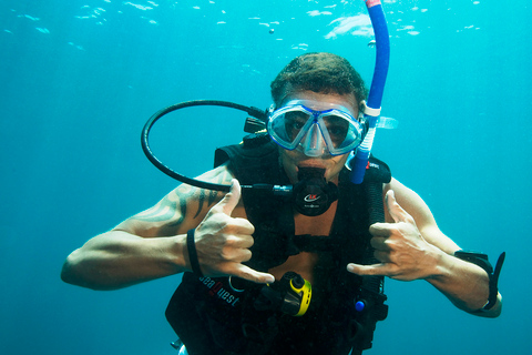 Excursión de un día a Moreton Island para bucear y mucho más