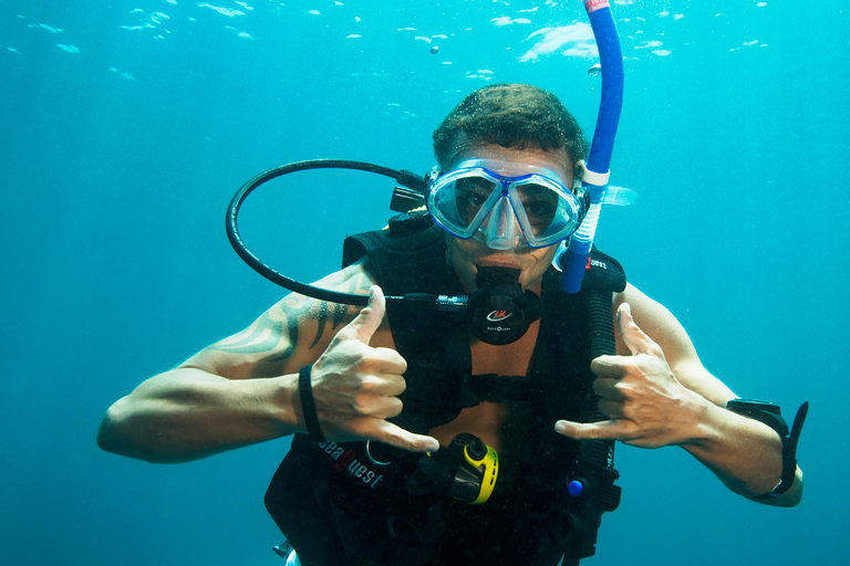 Excursión de un día a Moreton Island para bucear y mucho más