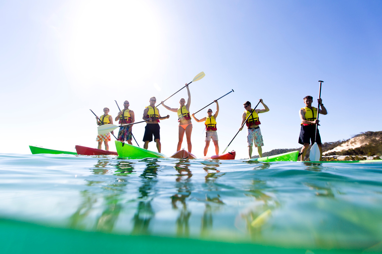 Excursión de un día a Moreton Island para bucear y mucho más