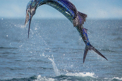 Fishing sporting zanzibar