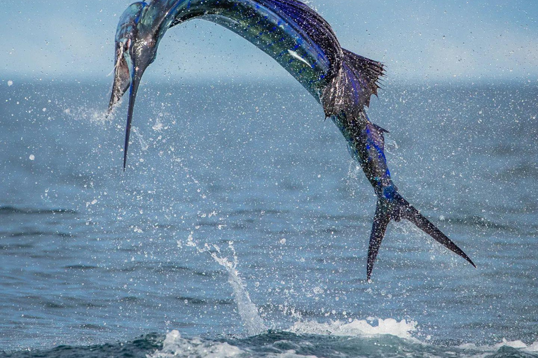 Fishing sporting zanzibar