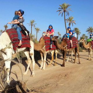 Arredores de Marrakech: 1 Hora de Passeio de Camelo