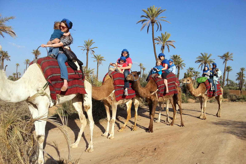 Marrakesch: 1-stündiger Kamelritt durch den Palmenhain