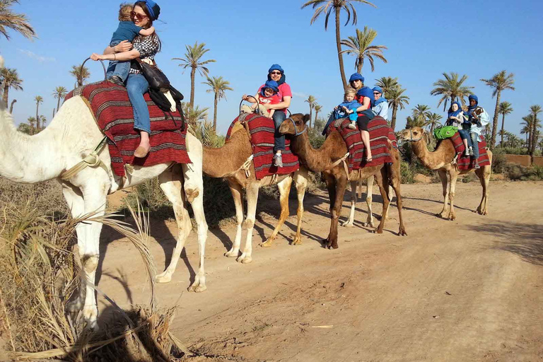 Marrakech : balade en chameau dans la palmeraie