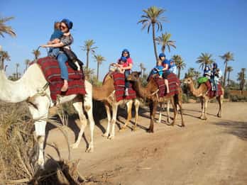 Marrakesch: 1-stündiger Kamelritt durch den Palmenhain Marrakesch: 1-stündiger Kamelritt durch den Palmenhain
