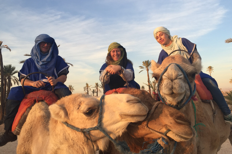 Marrakesch: 1-stündiger Kamelritt durch den Palmenhain