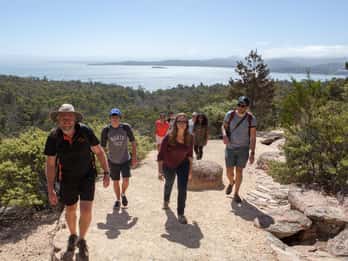 Da Launceston: Tour attivo di una giornata intera di Wineglass Bay Explorer