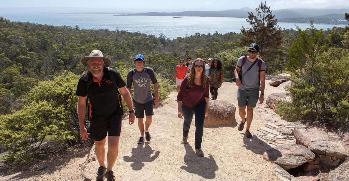 wineglass bay tours from launceston