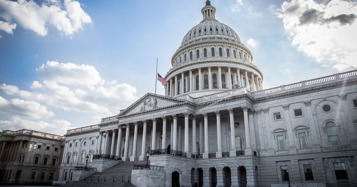 Washington DC Day Trip by Bus from New York City GetYourGuide